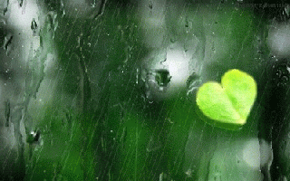 暴雨橙色预警来啦！未来3小时黑龙江这些地区降雨持续！做好防御！