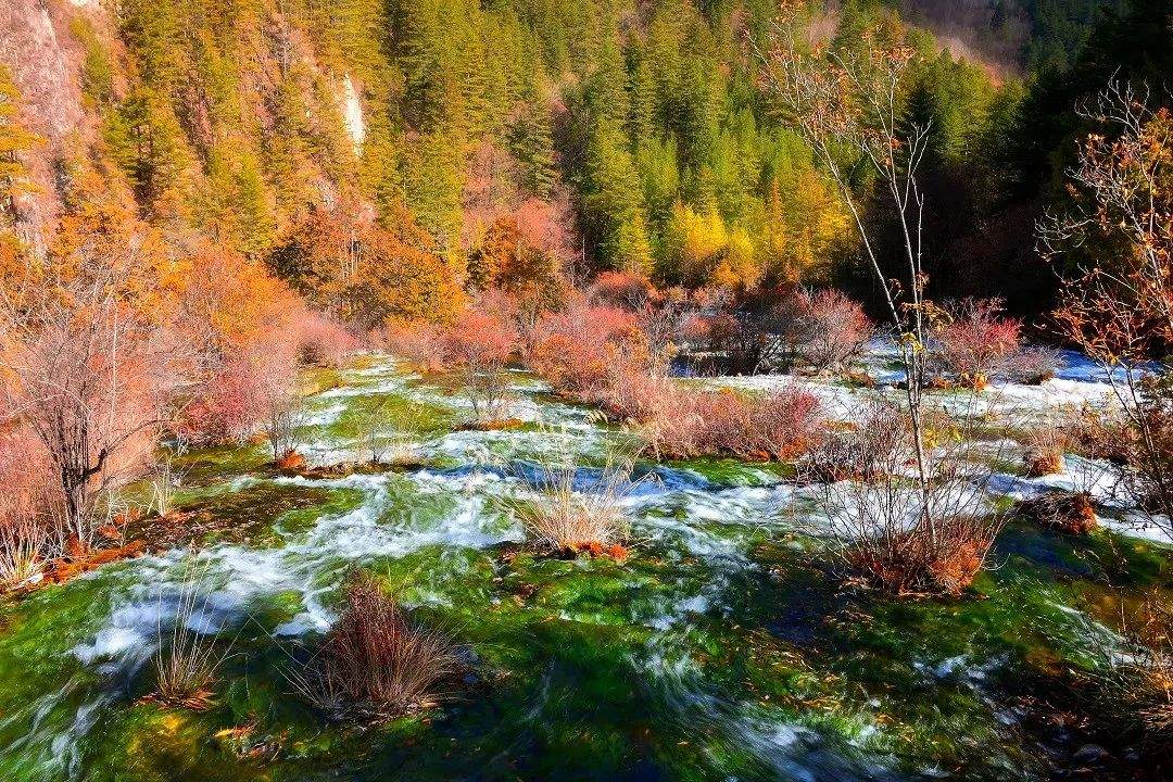 沉寂了近两年的九寨沟，预计今年国庆开放部分景区