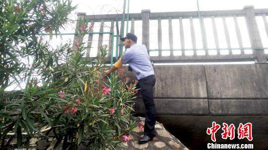 超强台风“利奇马”逼近福建宁德沿海将现大到巨浪