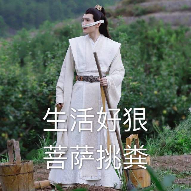 《陈情令》表情包来袭，金凌“大小姐”在线射箭