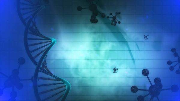 科学家对生命起源的新见解