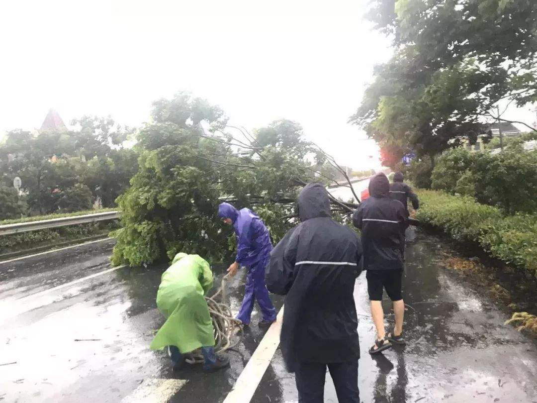 最强台风中心今晚到达！海宁有房屋坍塌汽车被压，连夜转移2万多人，比台风更强的是……