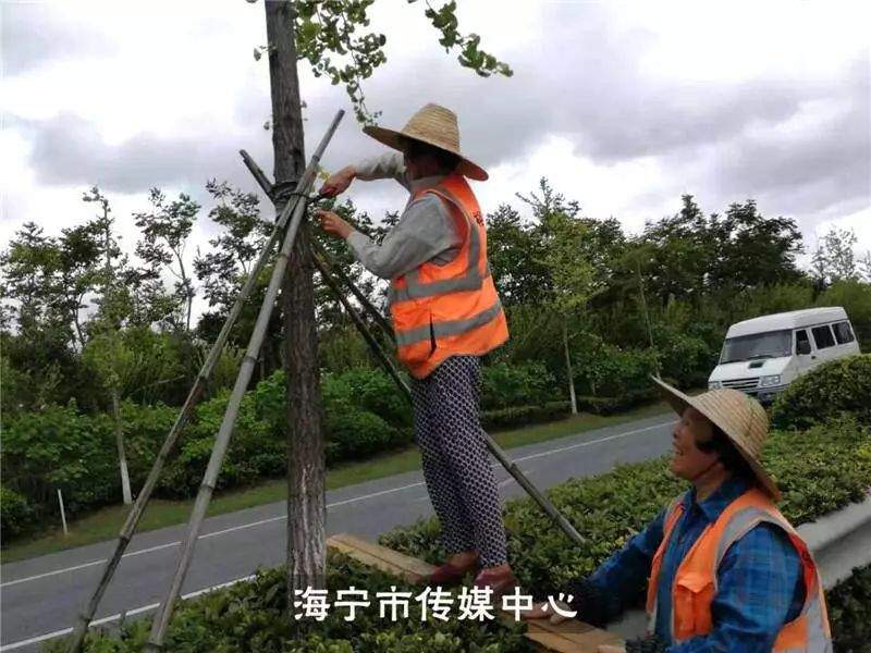 最强台风中心今晚到达！海宁有房屋坍塌汽车被压，连夜转移2万多人，比台风更强的是……