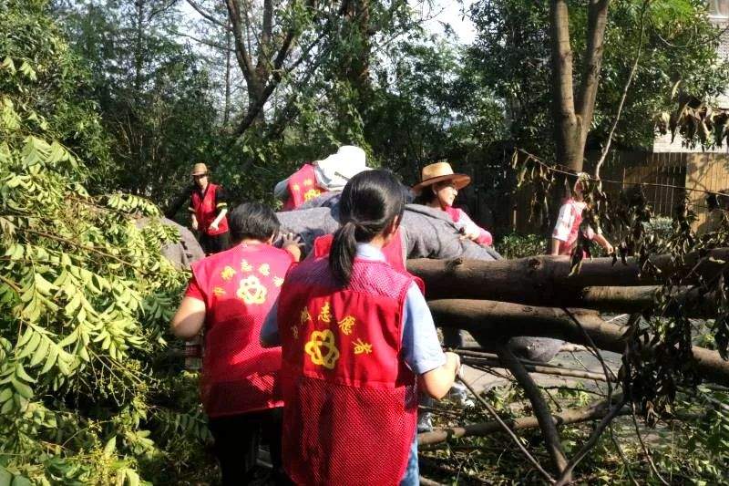 救灾一线践“初心”！路桥党员干部灾后自救忙