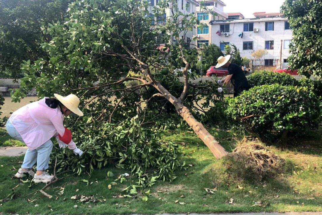 救灾一线践“初心”！路桥党员干部灾后自救忙