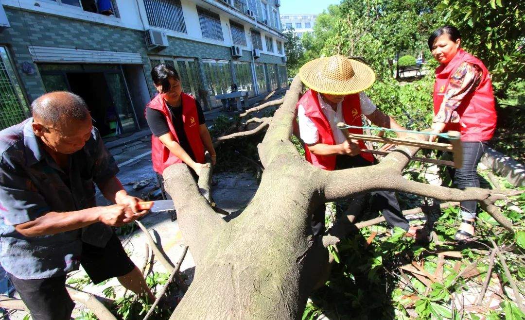 救灾一线践“初心”！路桥党员干部灾后自救忙