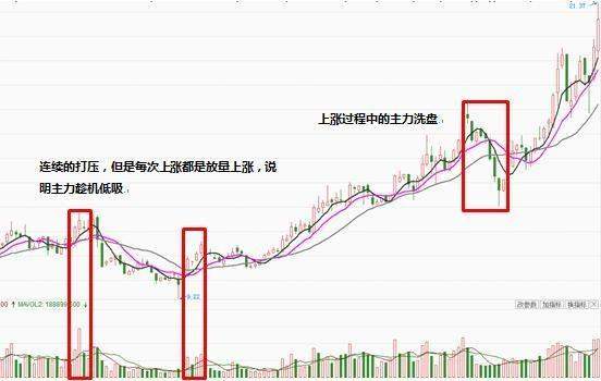 北京财经女博士分享：主力建仓前的特殊信号，读懂轻松跟庄出肉