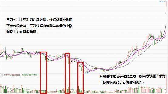 北京财经女博士分享：主力建仓前的特殊信号，读懂轻松跟庄出肉