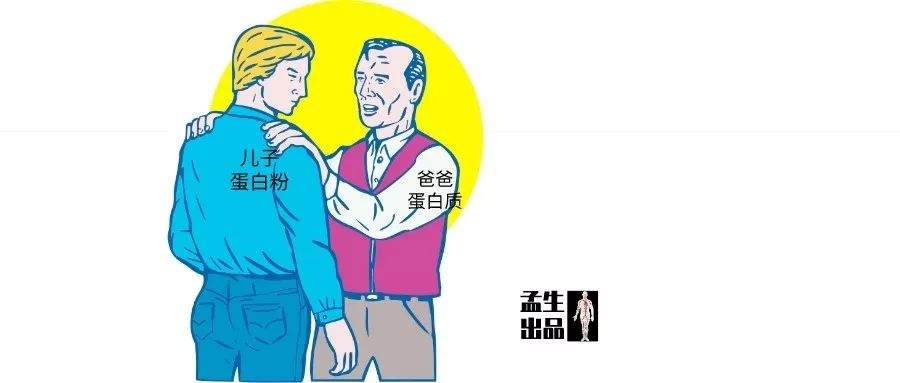 连“人造肉”都已经来了，怎么健身的蛋白粉还饱受误解？