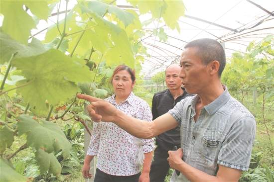 创新管理服务让农民工离乡不离党