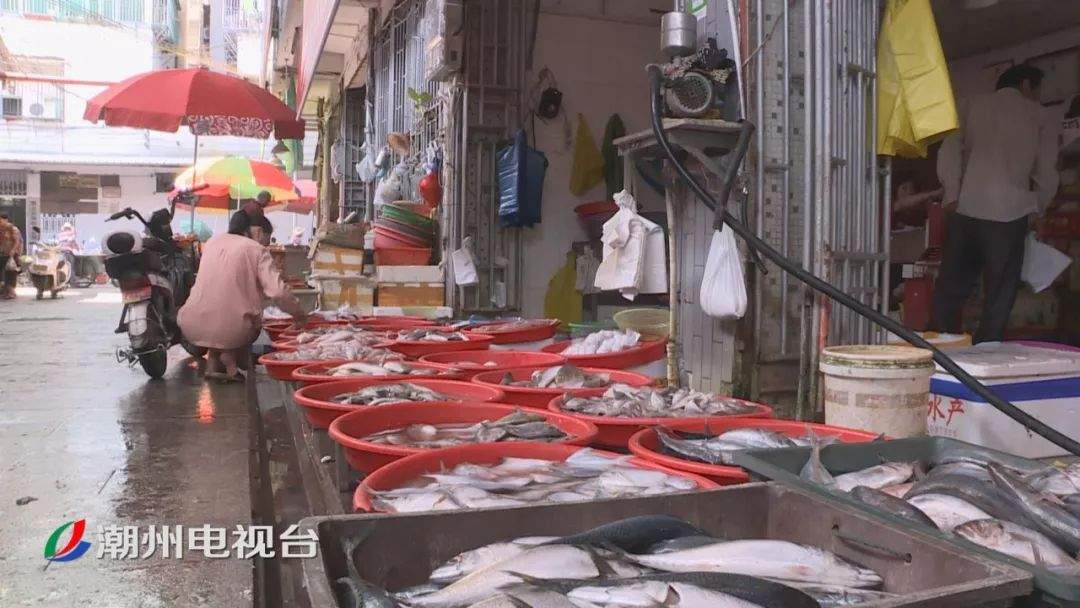 海鲜品种繁多价格明显回落