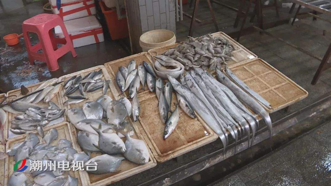 海鲜品种繁多价格明显回落