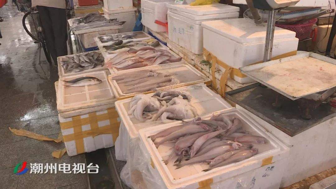 海鲜品种繁多价格明显回落