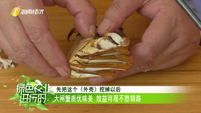 美食：定安大闸蟹