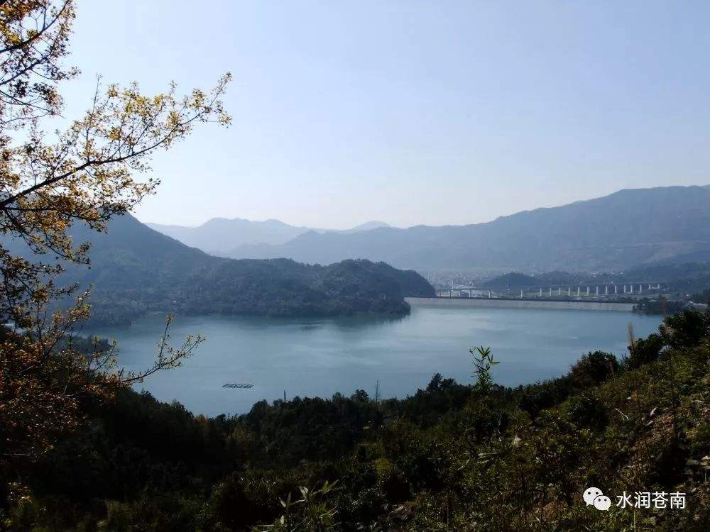 饮水当思源！苍南这个水库已经有60多年历史了！