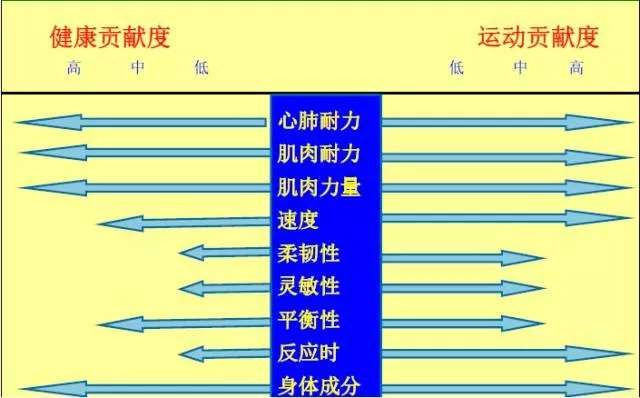 儿童也需要训练肌肉力量，给你8种有效训练方法！