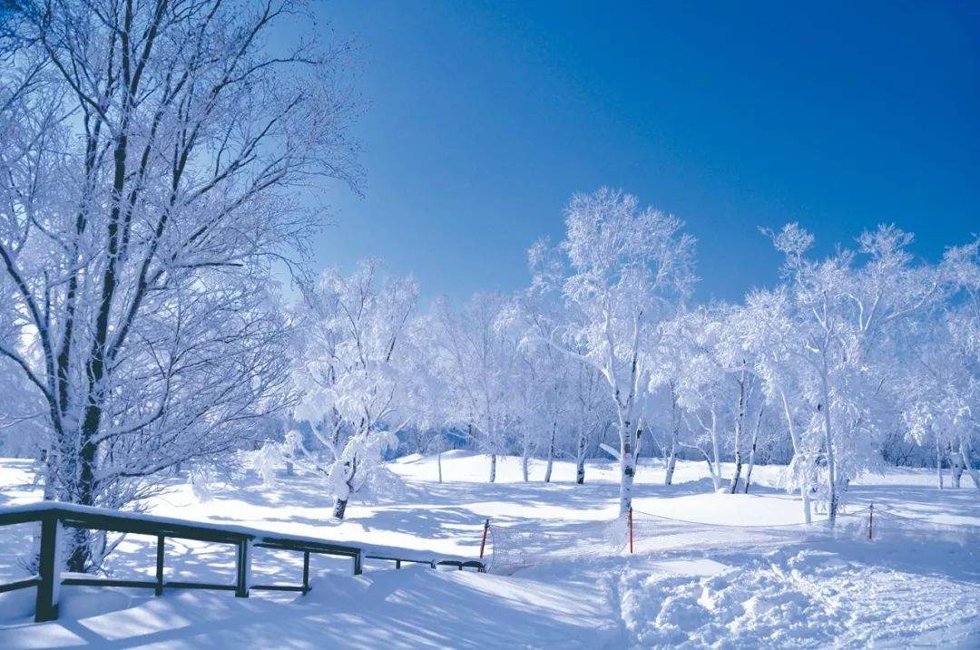 滑向"冬日雪国"的诗和远方|北海道夕张