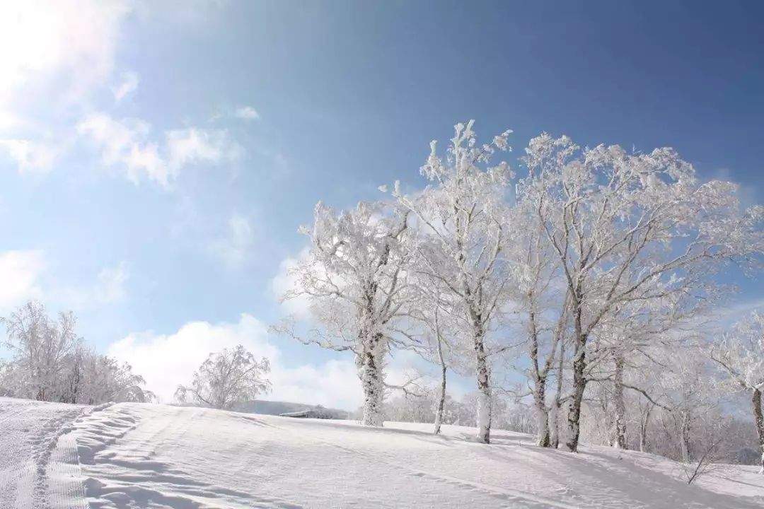 滑向"冬日雪国"的诗和远方|北海道夕张