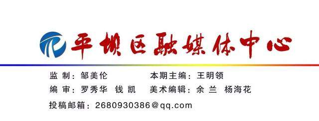 【党建】平坝区开展区直机关党员心理健康管理专题讲座