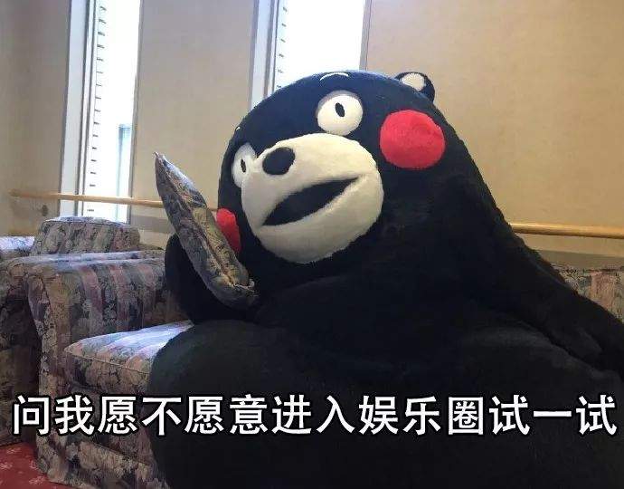 我不适合混娱乐圈