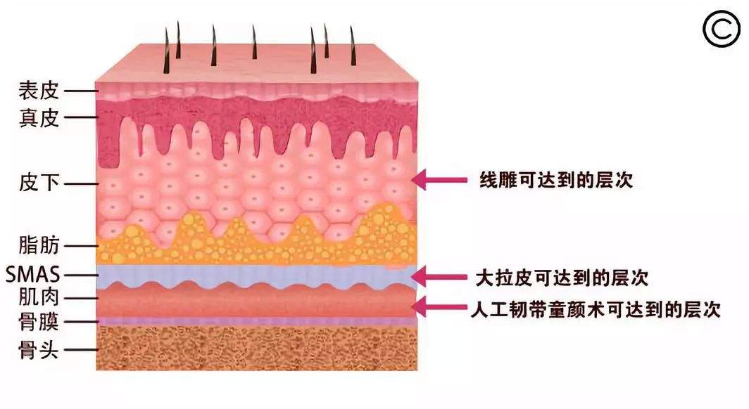 和Angelababy比肩，她的脸到底动了哪？