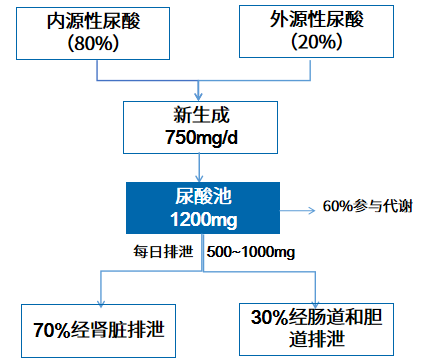 无症状高尿酸血症要不要治疗?