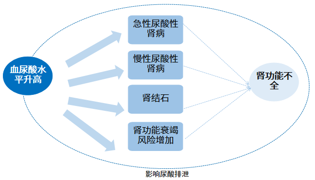 无症状高尿酸血症要不要治疗?