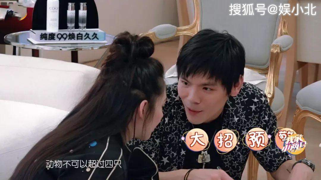 向佐郭碧婷签婚后公约，未提起的部分才是矛盾所在