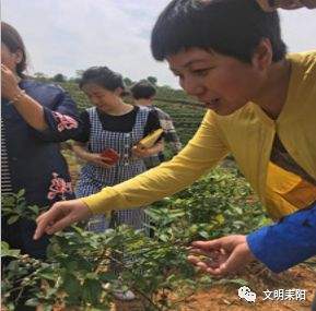 陈坤：“花果山”上致富领路人