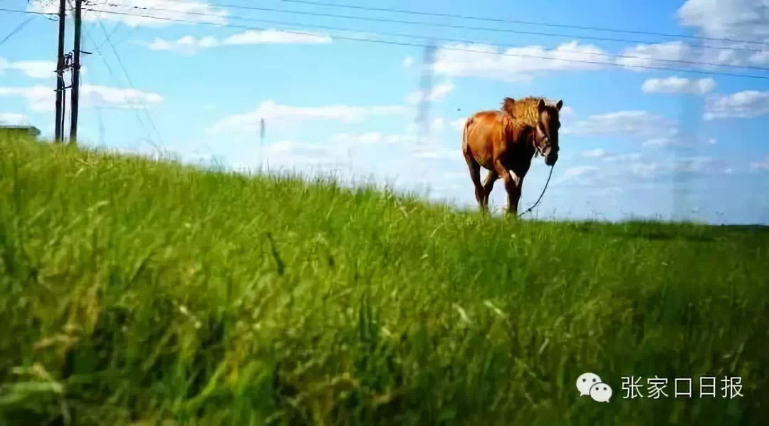 自豪!彩色张家口,美到灼伤双眼!!!