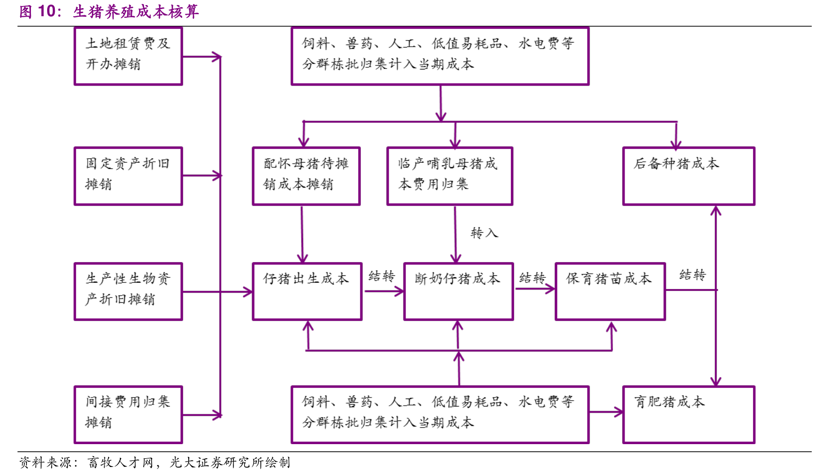 最高补贴1000万！生猪养殖补贴政策已落地