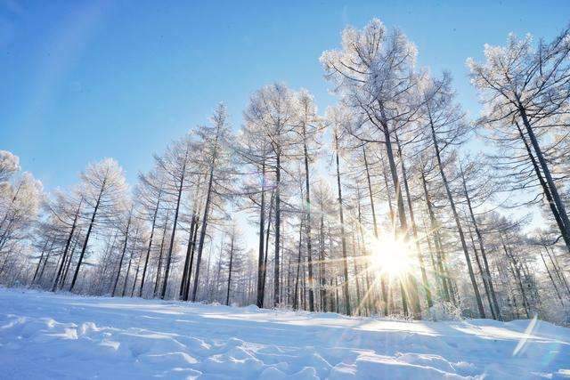 漠河下雪了！你那儿多少度？