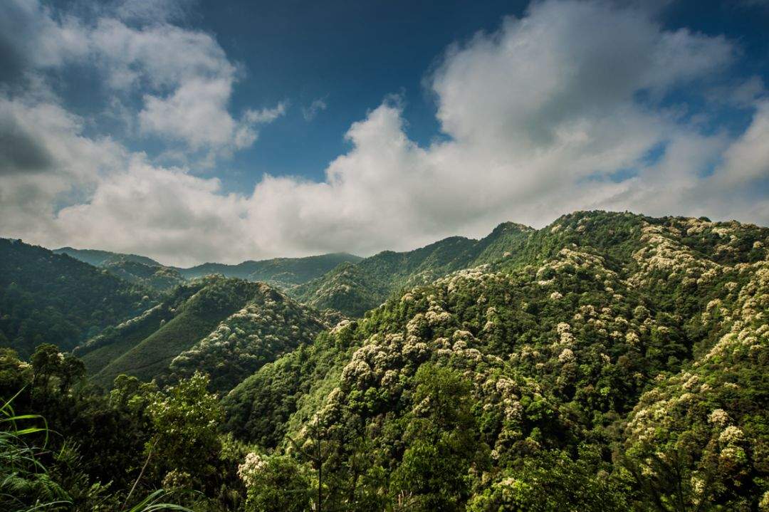 这，就是新岗山！