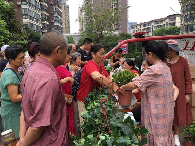 今天你领到花了吗？50场惠民活动将送花2万盆