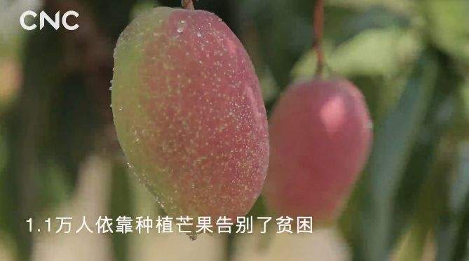 超燃大片！《我爱你，中国》——广西