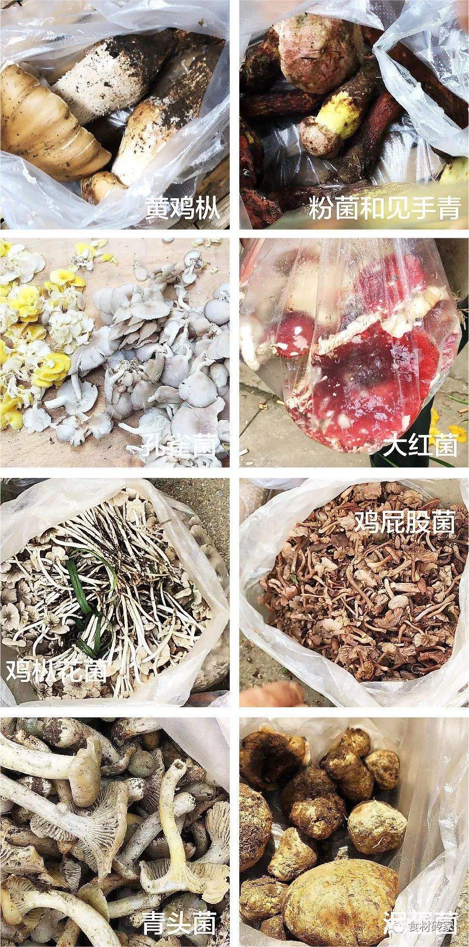 风味云南腾冲吃喝记（二）：豪迈的腾冲菜和看不懂的百年菜街