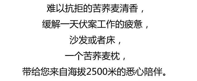 城里买不到的好枕头，来自海拔2500米的荞麦枕