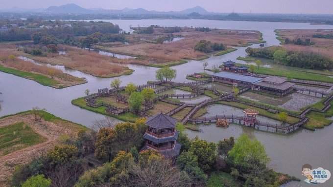 中国最美湿地浙江50个最值得去的景区之一鸟类“大熊猫”栖息地