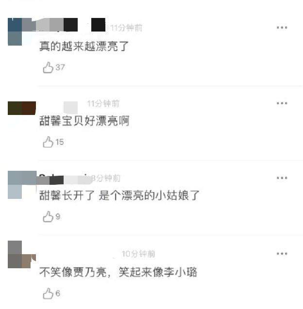 李小璐晒与甜馨近照，甜馨整容式长开，不笑像贾乃亮笑起来像妈妈