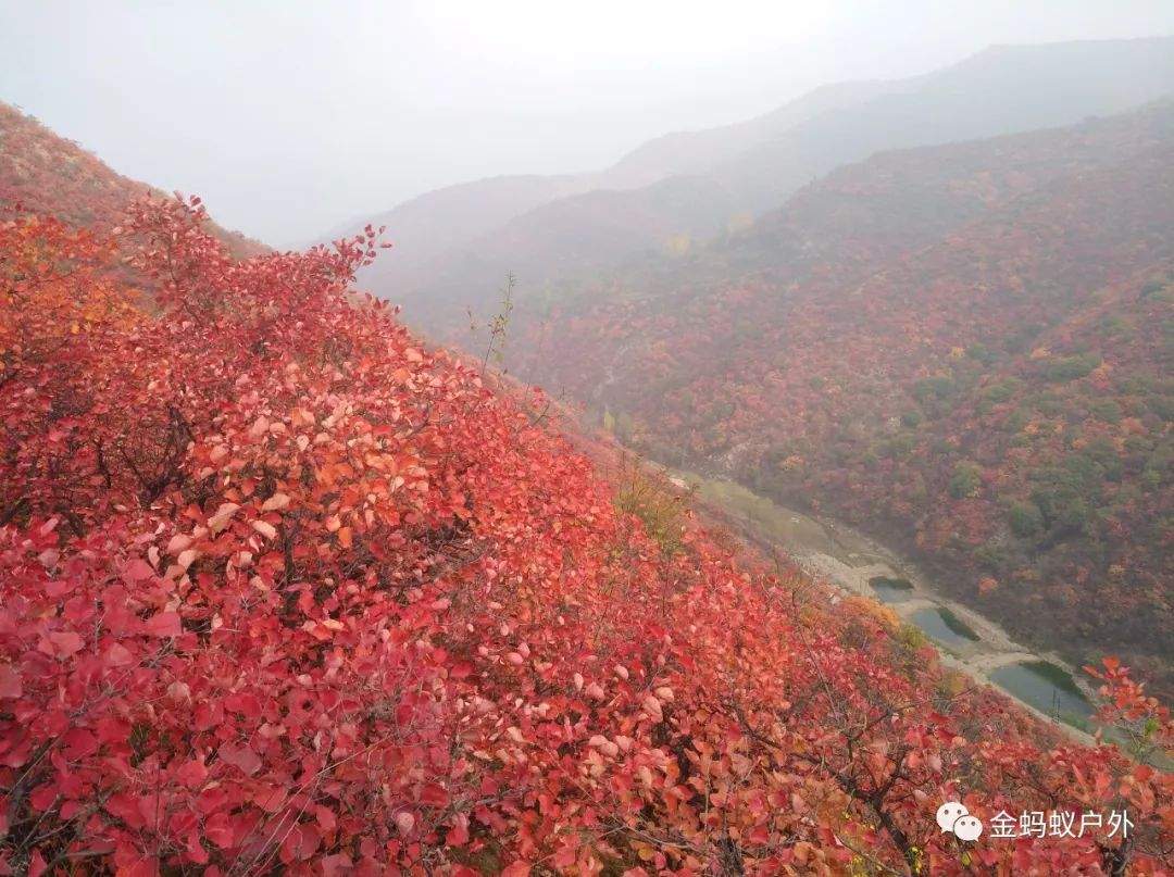 10月10号绛县紫家峪徒步赏红叶