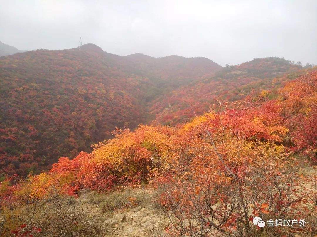 10月10号绛县紫家峪徒步赏红叶