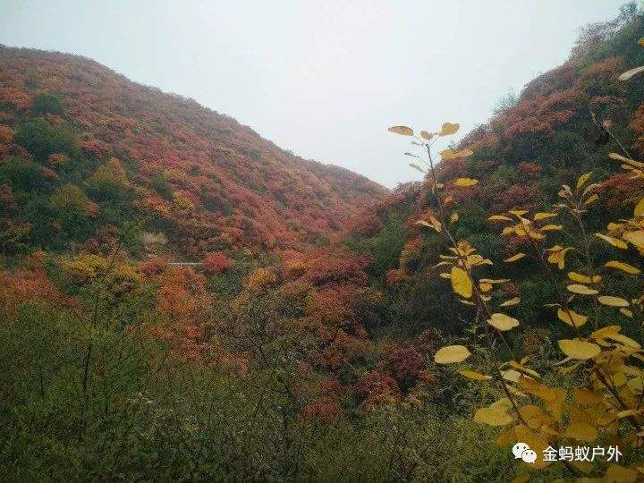 10月10号绛县紫家峪徒步赏红叶