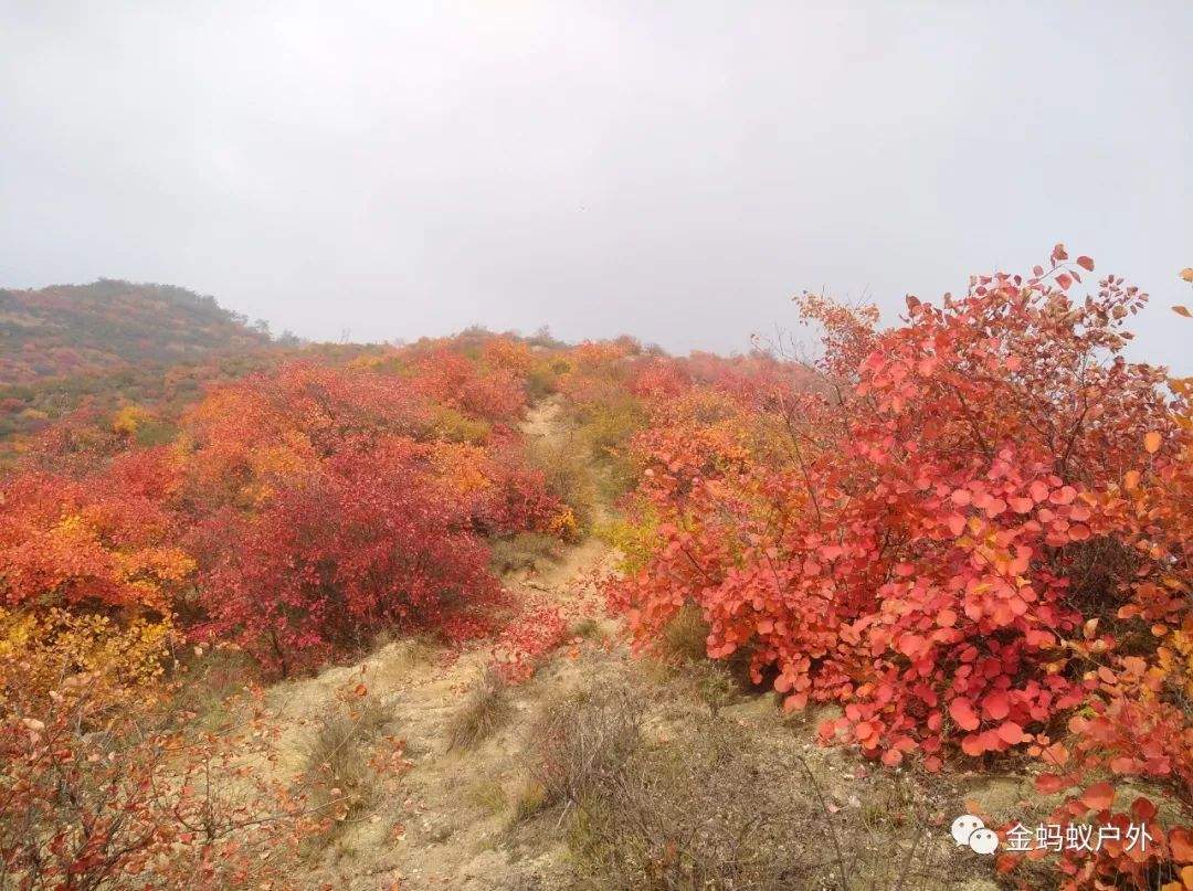 10月10号绛县紫家峪徒步赏红叶