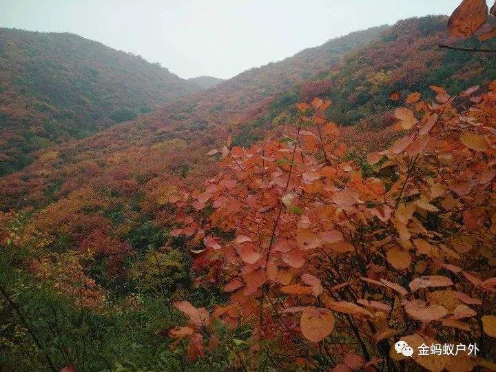 10月10号绛县紫家峪徒步赏红叶