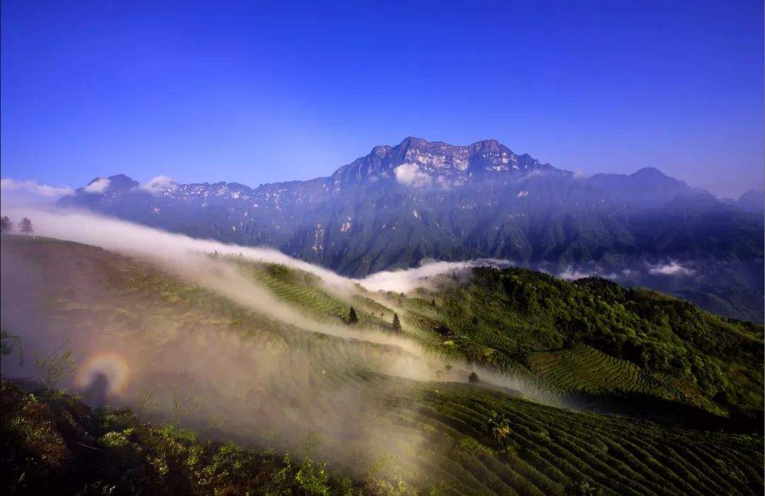 除了金顶，峨眉山下还有一个地方可以看到佛光！这里曾是"西蜀第一大刹"