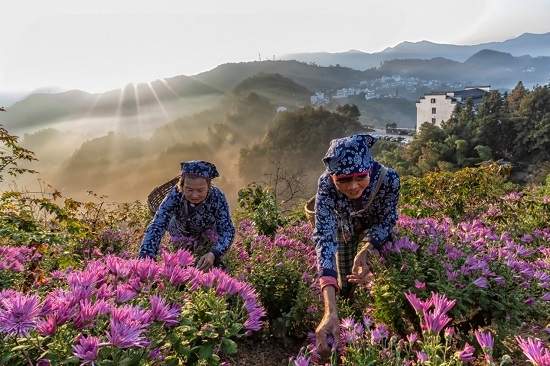 守中国心·圆劝耕梦