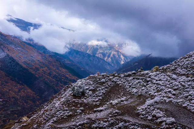 【秋游四姑娘山】深秋，四姑娘山这些景色你见过没？