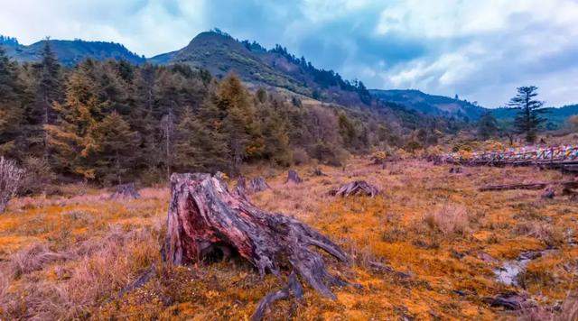 【秋游四姑娘山】深秋，四姑娘山这些景色你见过没？