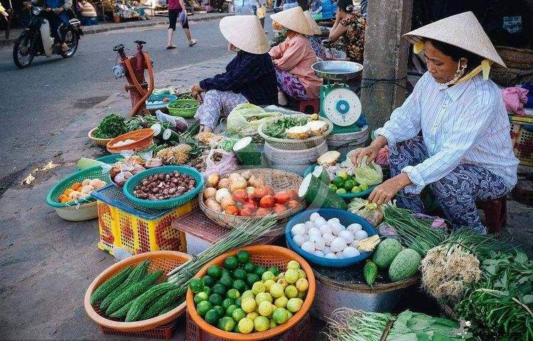 越南水果卖不出去，怪中国要求高？网友：东南亚不止你们产水果