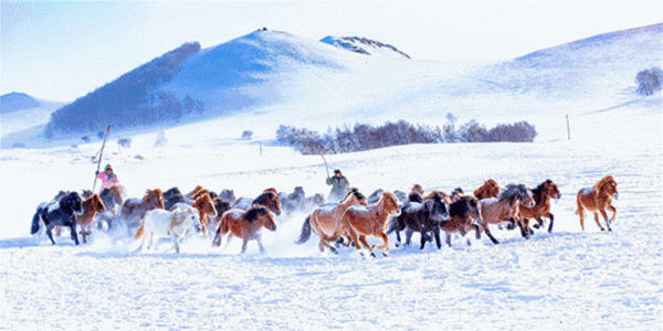 【玩转全景东北▪纯玩团】冰城哈尔滨、梦幻雪乡、长白山温泉、吉林雾凇，古都沈阳一次走遍